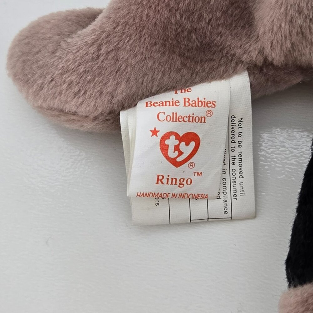 3/$25 TY Beanie Baby - Ringo the Racoon - Picture 2 of 2